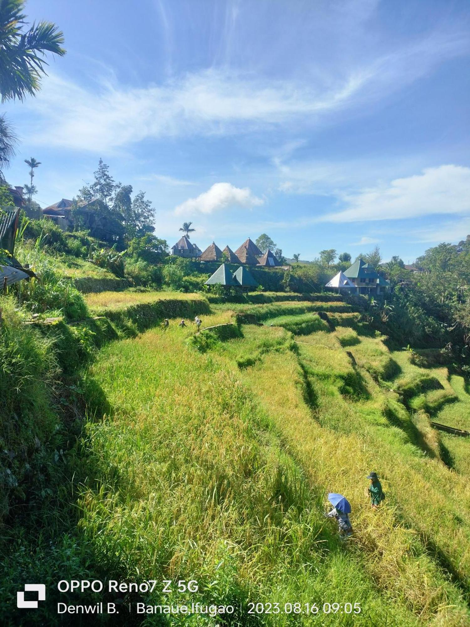 Bogah Lodge Banaue Dış mekan fotoğraf