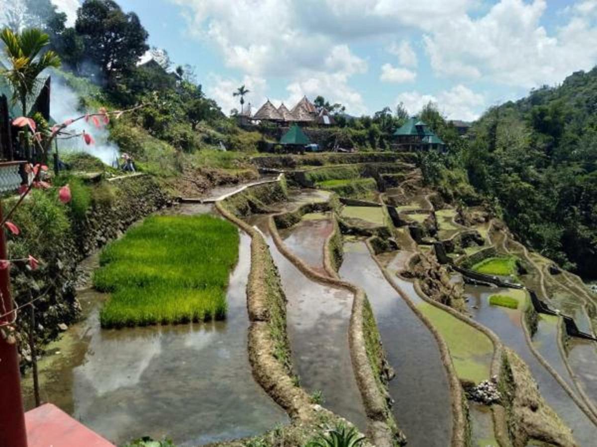 Bogah Lodge Banaue Dış mekan fotoğraf